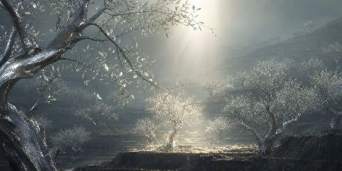 Huerto de Plata — printable digital art preview